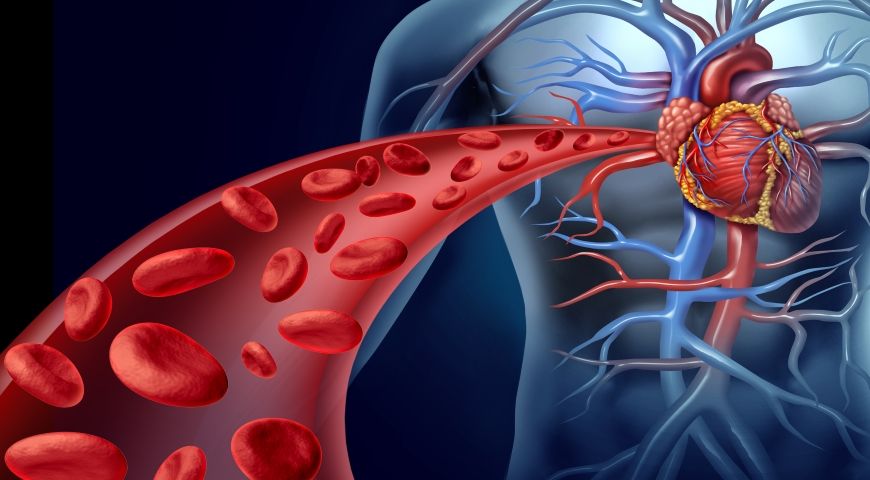 homocysteina-metabolizm.jpg