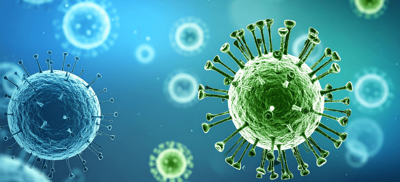 odpornosc organizmu3.png