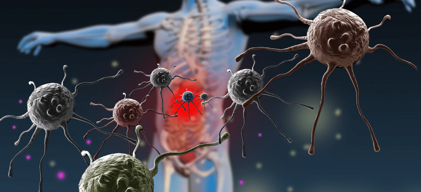 układ odpornosciowy.png